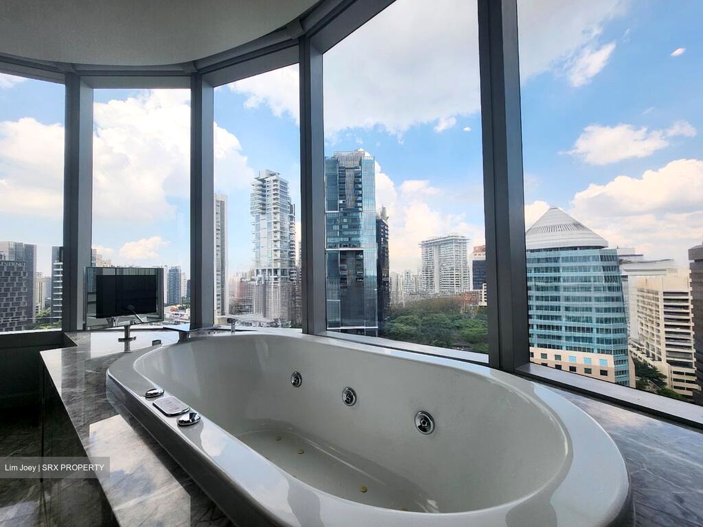The Orchard Residences (D9), Apartment #454130191